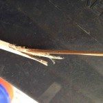 NM wire eaten by rodent - Healthy Building Science - EMF testing - RF testing