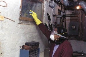 DIY Mold Clean Up - PPE