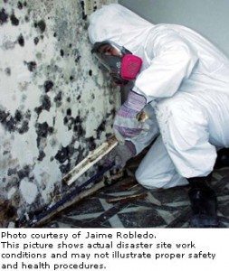 IICRC S520 Professional Mold Remediation