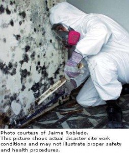 Mold Clean Up PPE