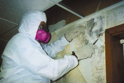 Mold Clean Up - When to Call in Professional Remediators