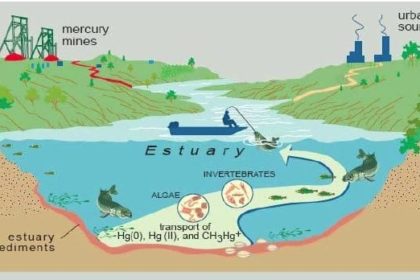 Mercury Mines & Estuaries