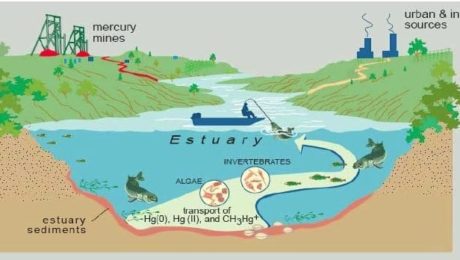 Mercury Mines & Estuaries