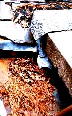 Control Moisture. Leaves clogged gutter
