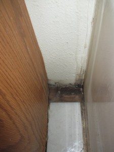 Top 10 tips for looking for water damage and mold in buildings - Visible Mold Growth on Baseboard and Wall