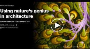The science of Biomimicry