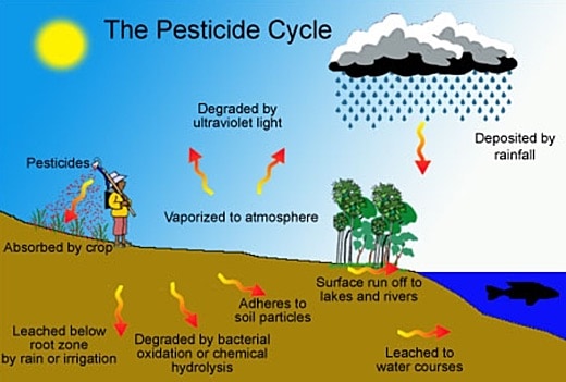 Pesticides Life Cycle