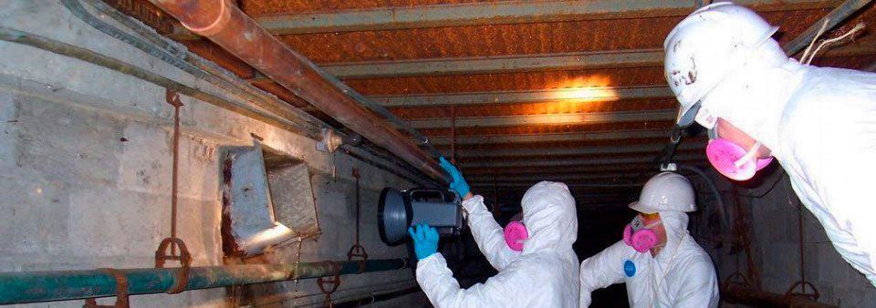 mold inspectors under a building in material hazard suits testing for mold